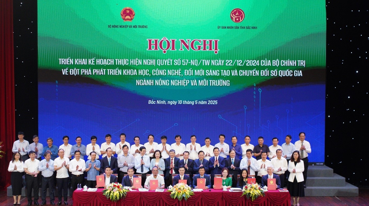 h11-1747016448.jpg