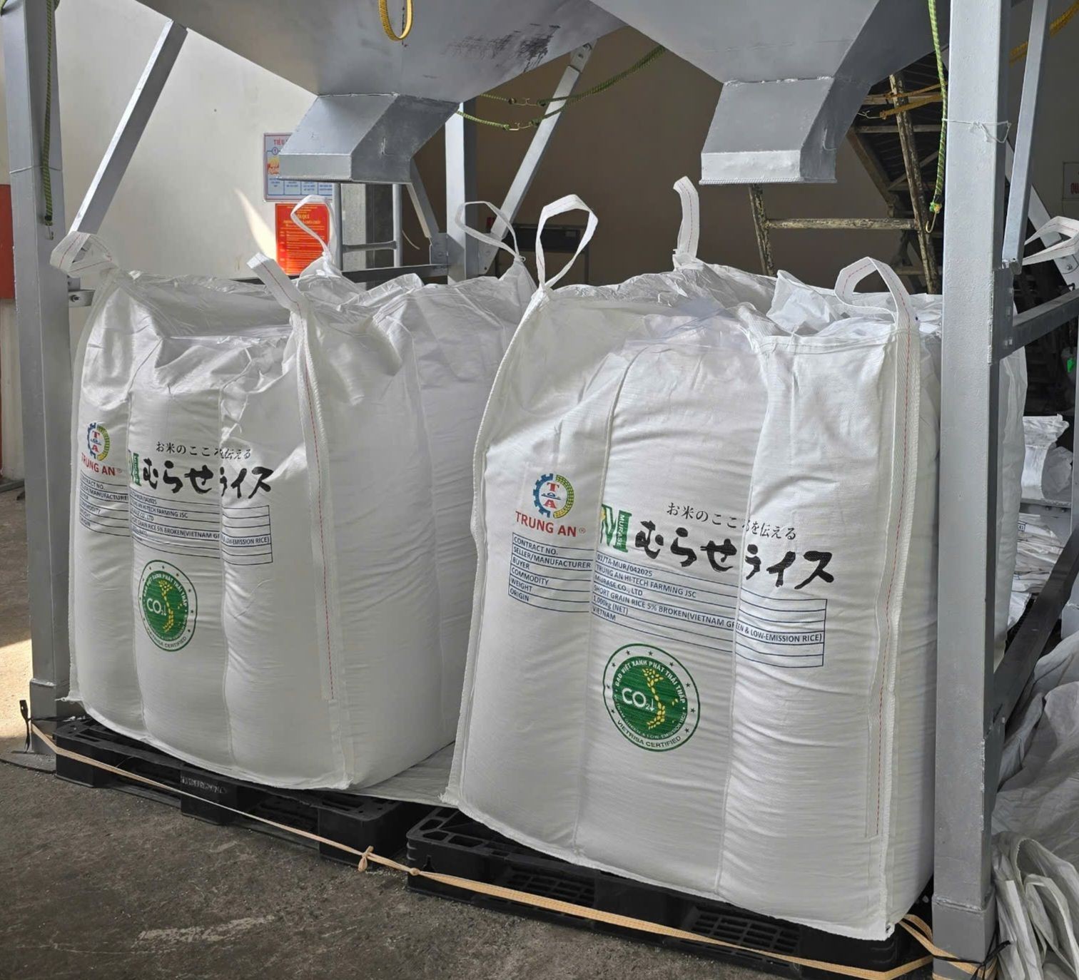 “Gạo Việt xanh phát thải thấp” lần đầu chinh phục thị trường Nhật
