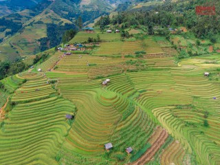 Du khách đổ xô đi chụp ảnh tại đồi mâm xôi La Pán Tẩn - Mù Cang Chải