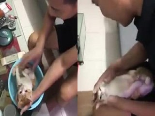 Ông nội hướng dẫn tắm cho bé, nhờ mèo đóng thế