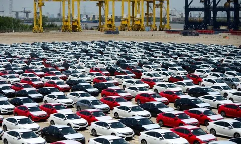 Việt Nam nhập khẩu hơn 6.300 ôtô trong nửa tháng đầu năm