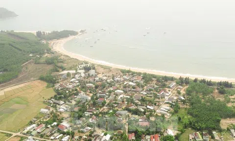 Kiến nghị báo cáo Thủ tướng dự án cảng gần 7.000 tỷ đồng tại Bình Định