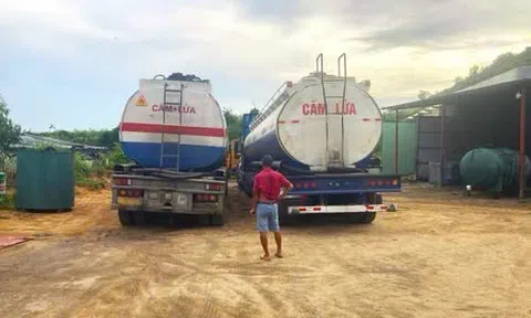 Bình Định: Phát hiện gần 80 tấn dầu FO không hóa đơn, chứng từ
