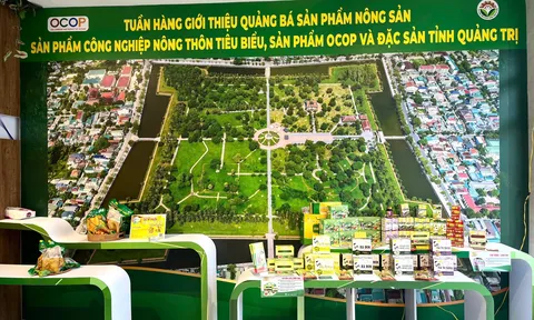 Tuần hàng Quảng Trị tại TP.HCM: Quảng bá nông sản, đặc sản và OCOP đến người tiêu dùng đô thị lớn nhất cả nước