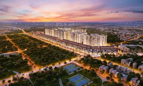 Dòng tiền 2026: Từ tích lũy an toàn sang khai thác chủ động