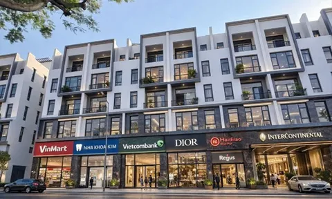 Sở hữu shophouse trung tâm Hải Phòng: Mô hình kinh doanh nào “hái ra tiền”?