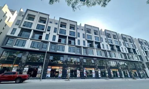 Tiến độ thực - “bảo chứng vàng” cho dòng tiền Shophouse The Grand Harbor