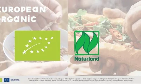Chính thức khởi động Chiến dịch hữu cơ EU tại Việt Nam: Thúc đẩy xu hướng tiêu dùng an toàn, minh bạch, bền vững