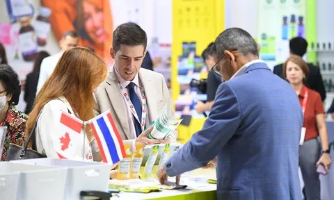 Vitafoods Asia 2026 mở rộng quy mô 30% và tính quốc tế: Sự kiện thương mại năng động hơn với loạt hoạt động mới