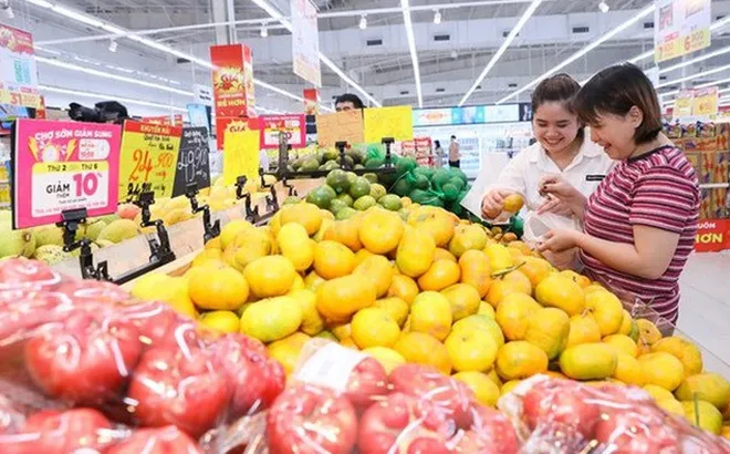 Người trẻ định hình lại thói quen hưởng thụ kì nghỉ và những cuộc vui